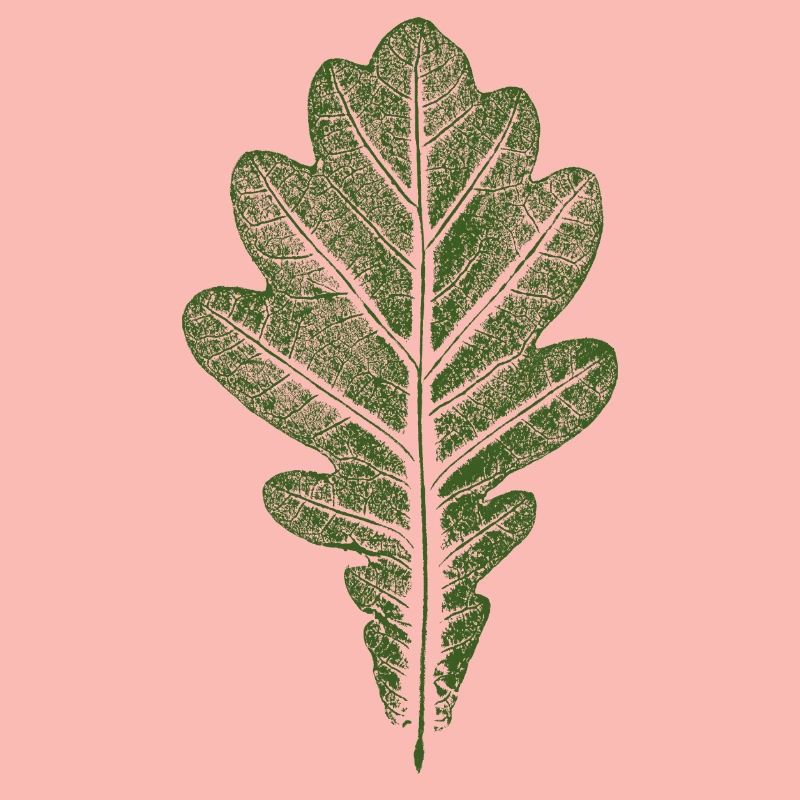 Blatt Eiche - Eichenblatt / Natur & Wald Design