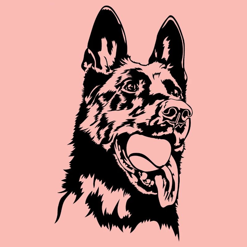 Deutscher Schäferhund Balljunkie Hunde Wilsigns