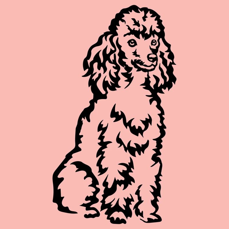 Caniche