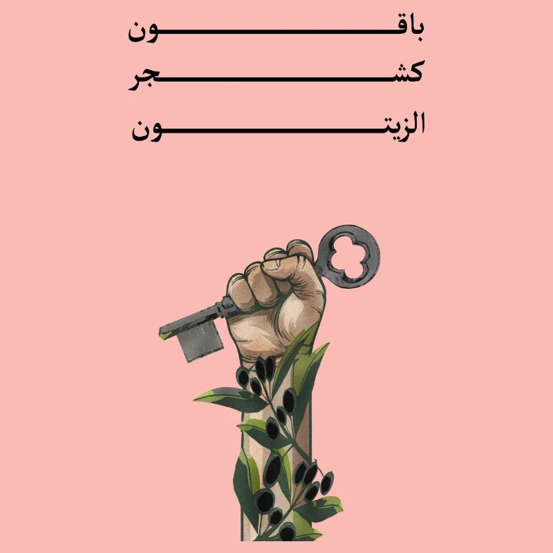 Solid like Oliven trees