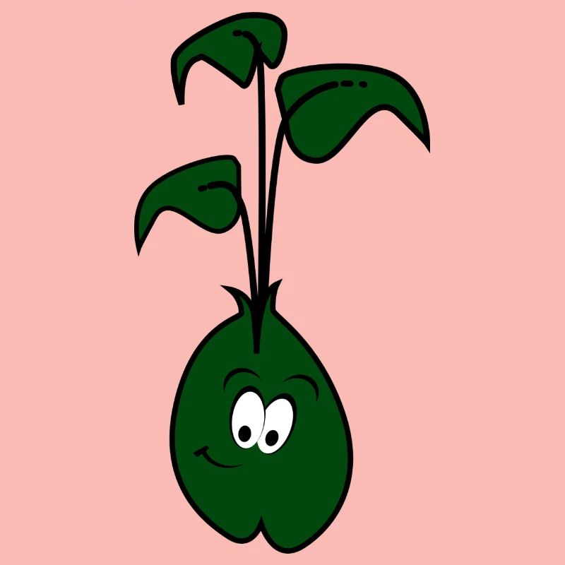 kidney beans beans veggie vegetables vegetables7
