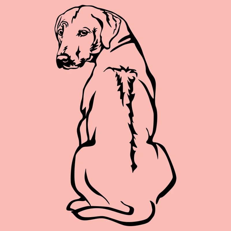 Rhodesian Ridgeback
