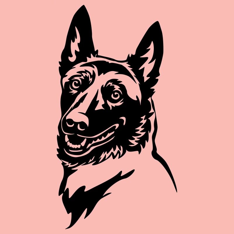 Malinois Kopf