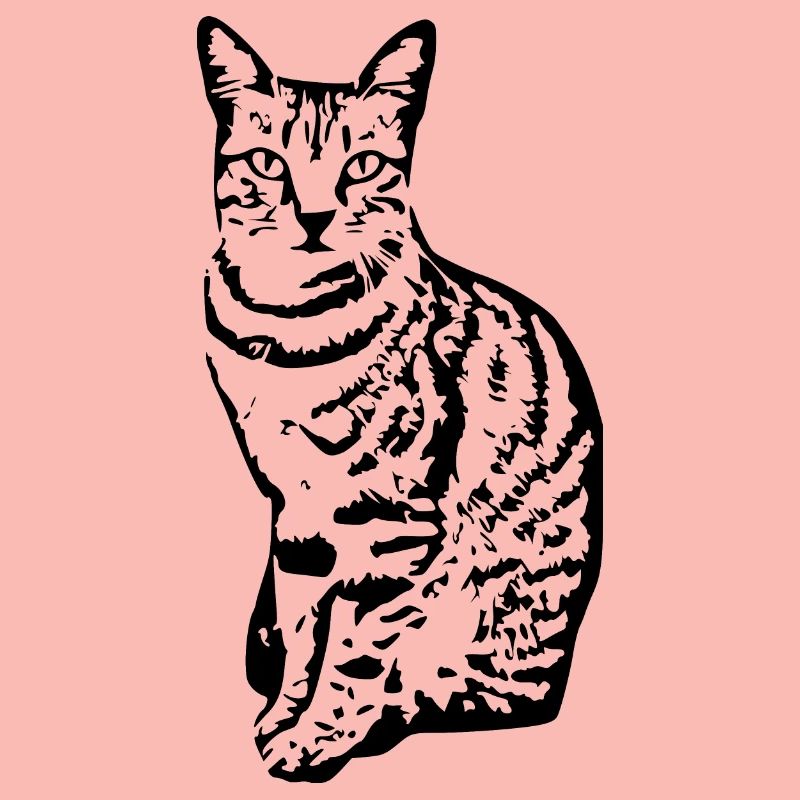 Chat Chaton Tigre Chat Chat Chat Cadeau