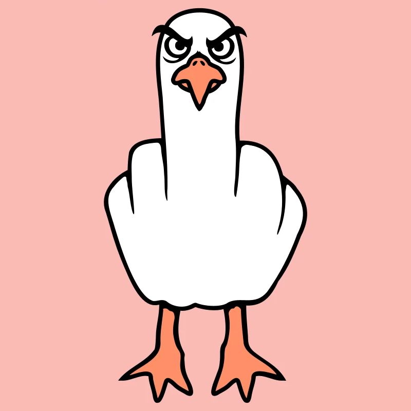 Möwe Mittelfinger Beleidigung Stinkefinger frech