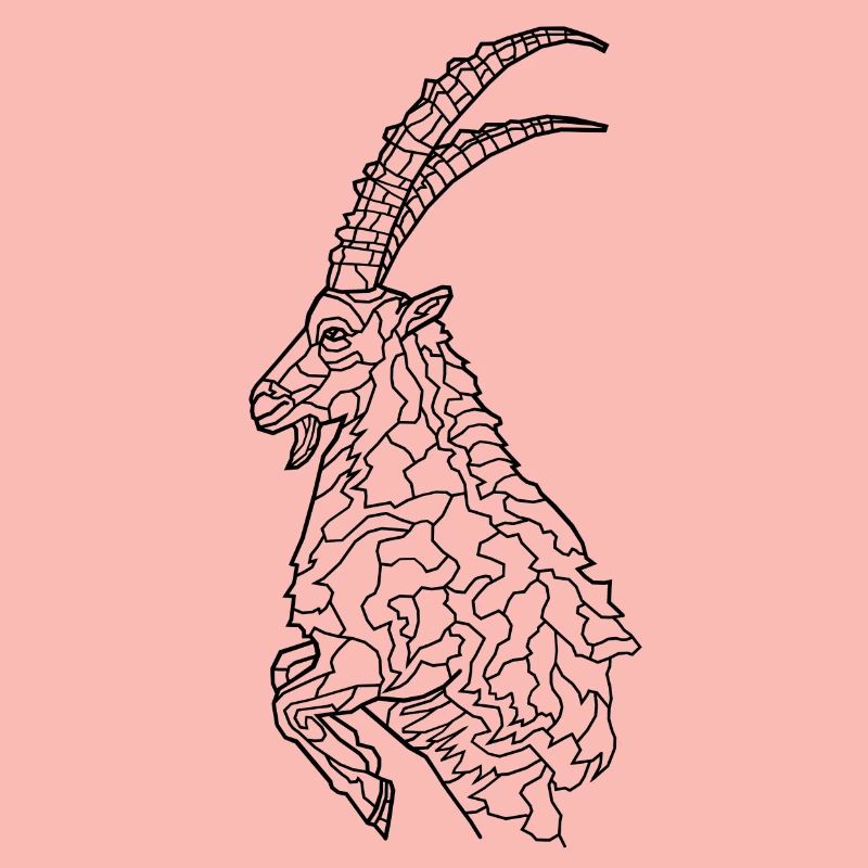 Steinbock
