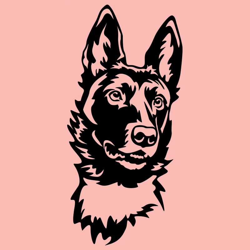 Malinois Kopf