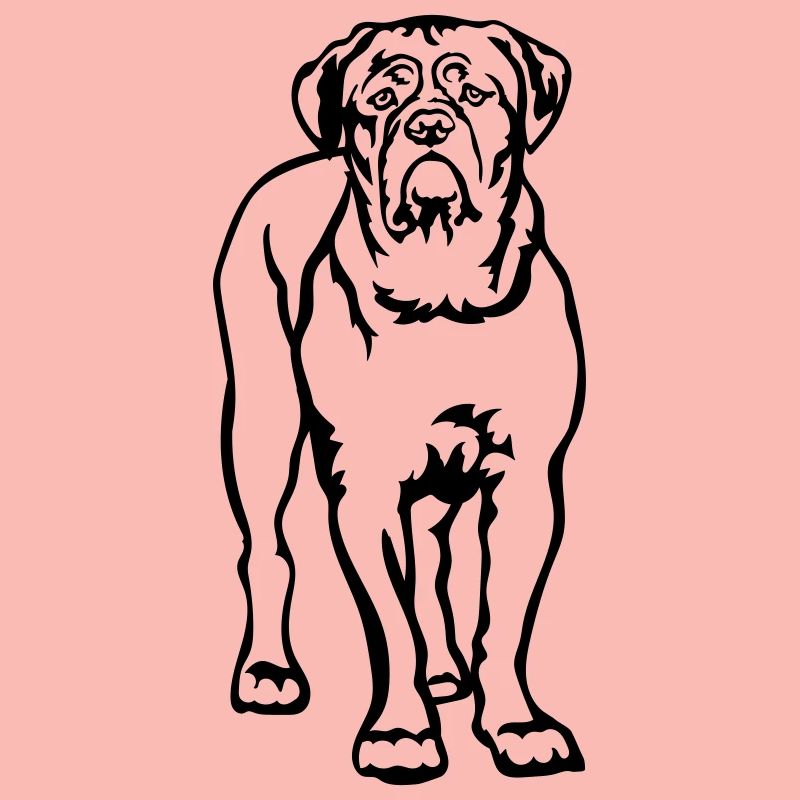 Dogue de Bordeaux