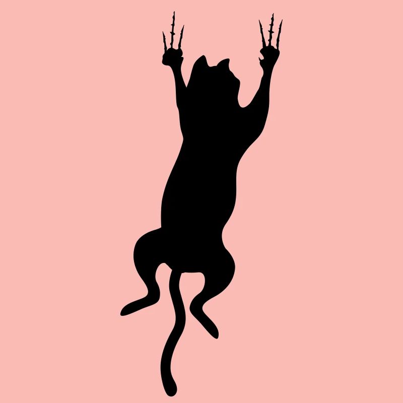 cat scratch