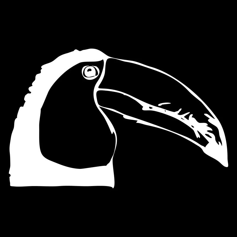Toucan in profile