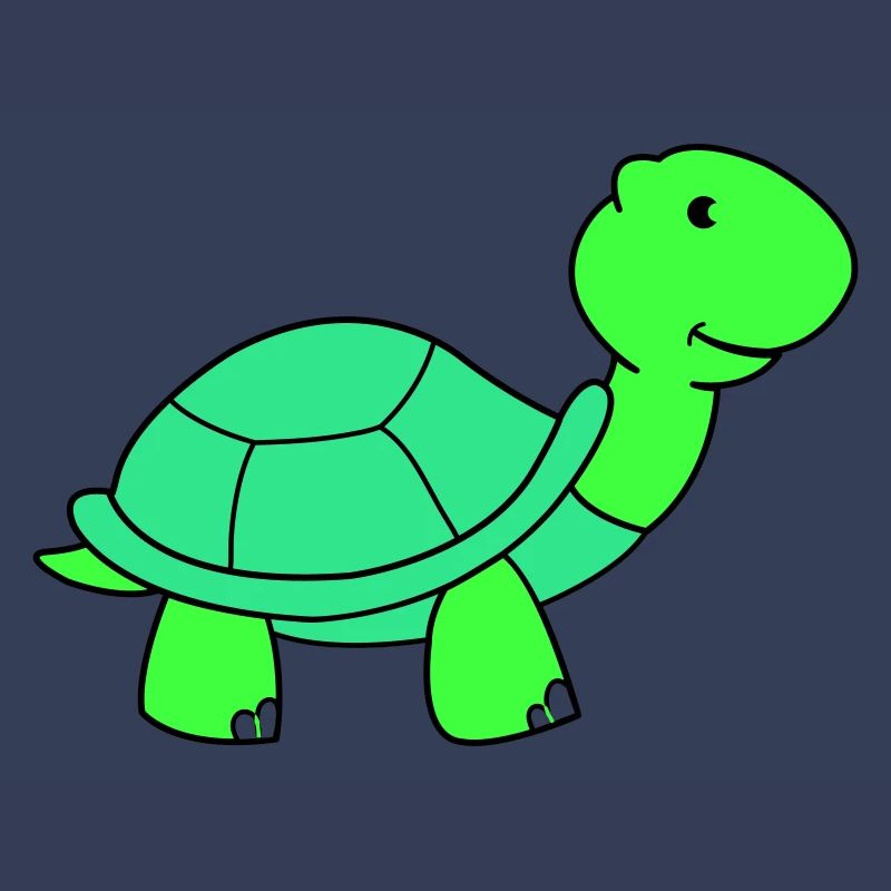 tortue