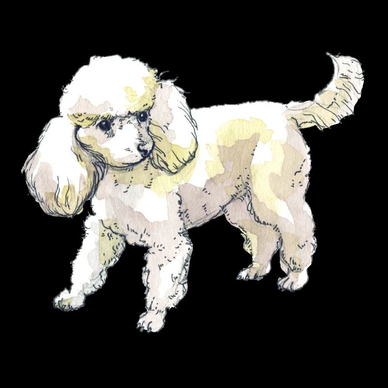 poodle