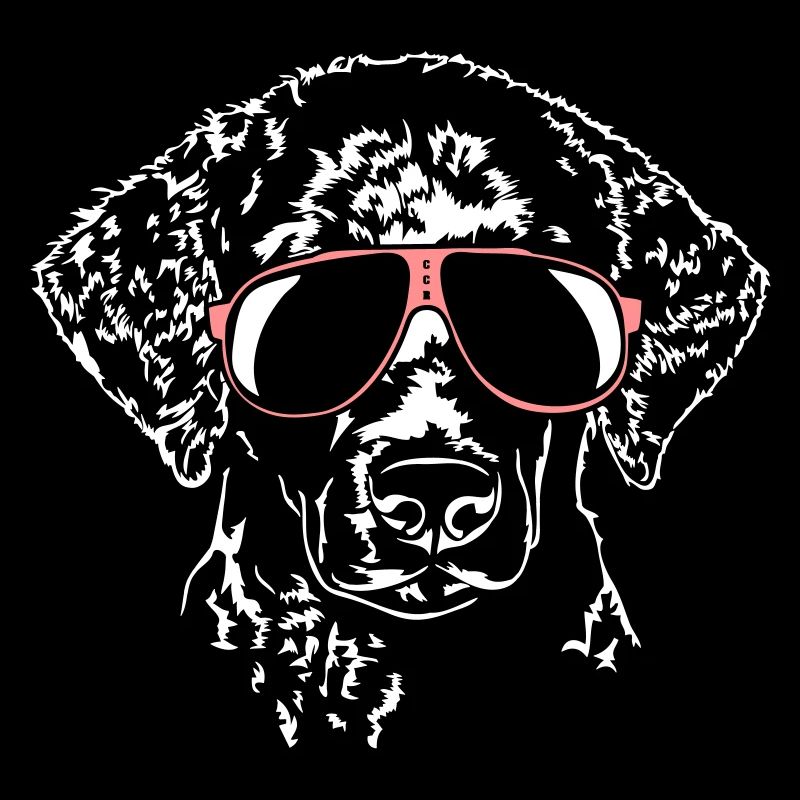 Curly Coated Retriever cool