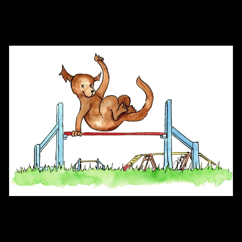 Agility Hürde