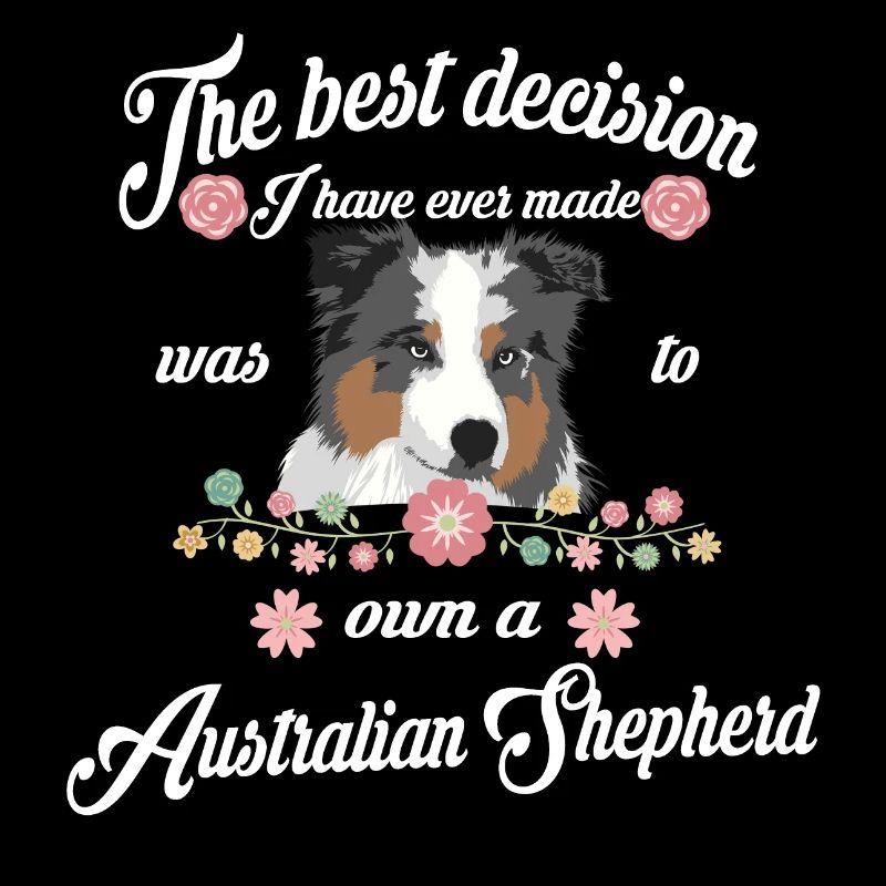Australian Shepherd