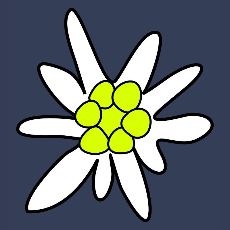 Edelweiss, fleur
