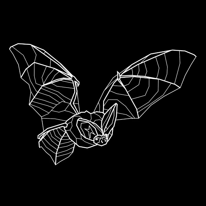 Long-eared bat white