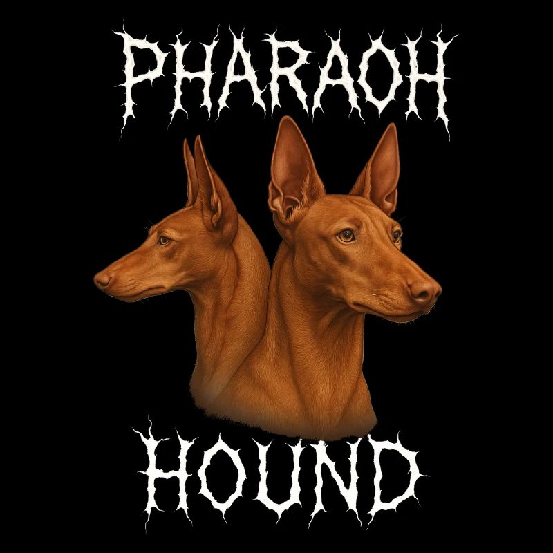 Pharaoh Hound