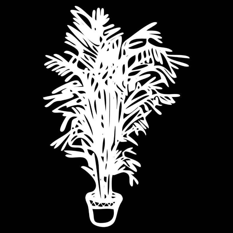 Topfpflanze, Geschenk, Geschenkidee