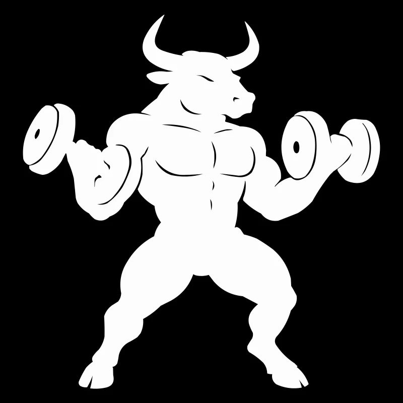 Muscles du Taureau