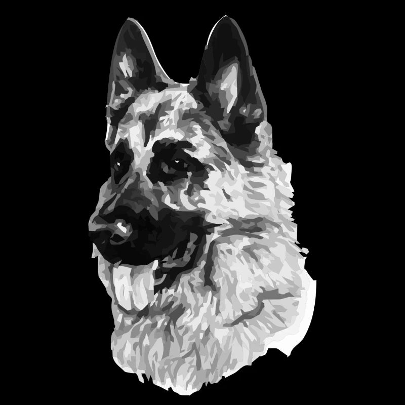 German shepherd