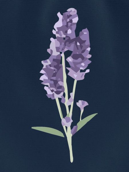 Lavendel