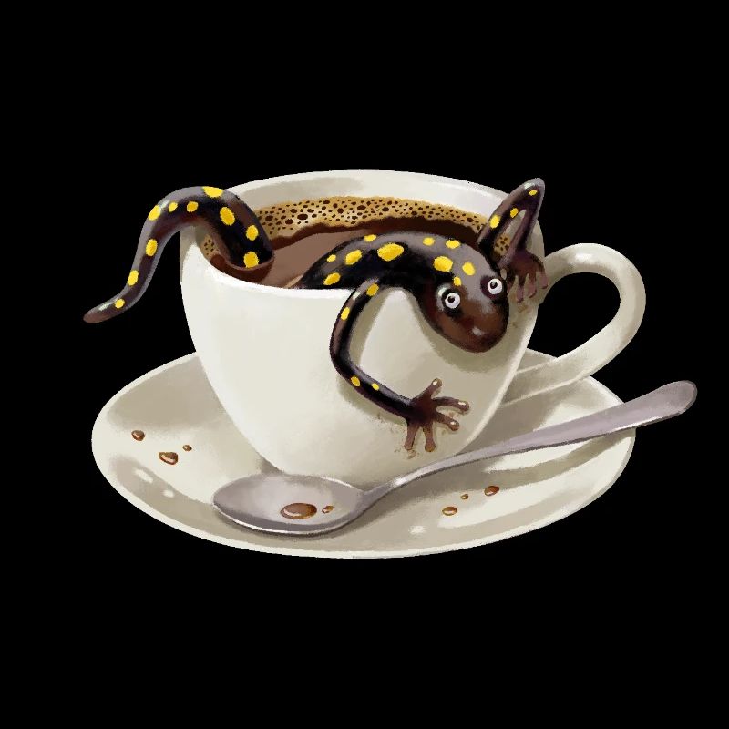 Coffee Salamander 3