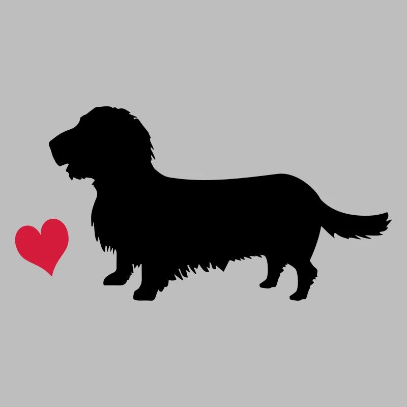 Rough-haired dachshund
