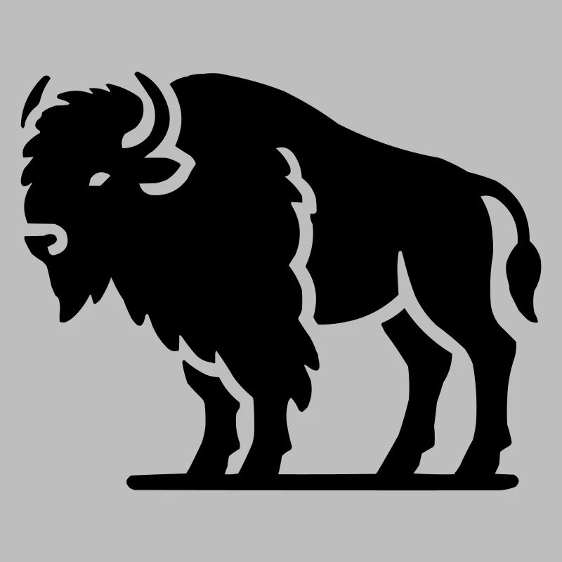 Bison Animal