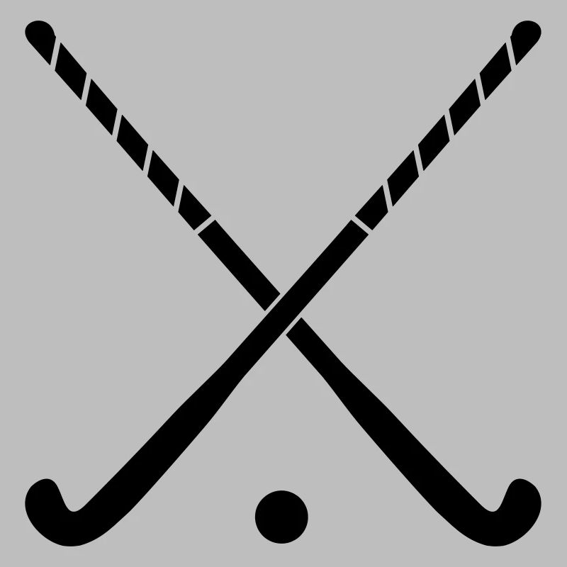 Hockey Stick Color Changing