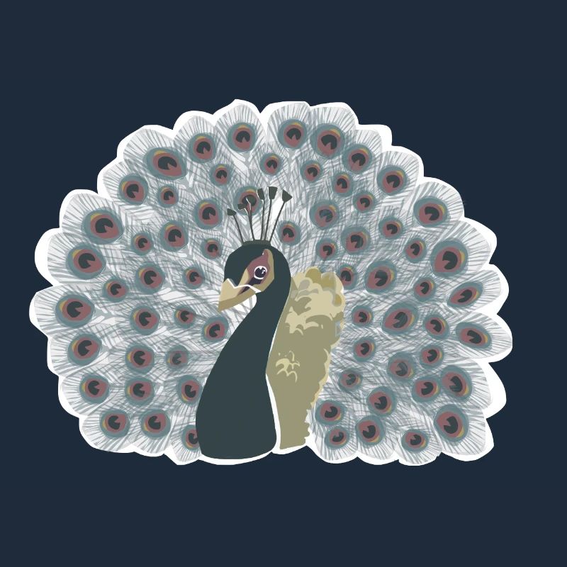 Peacock with wheel