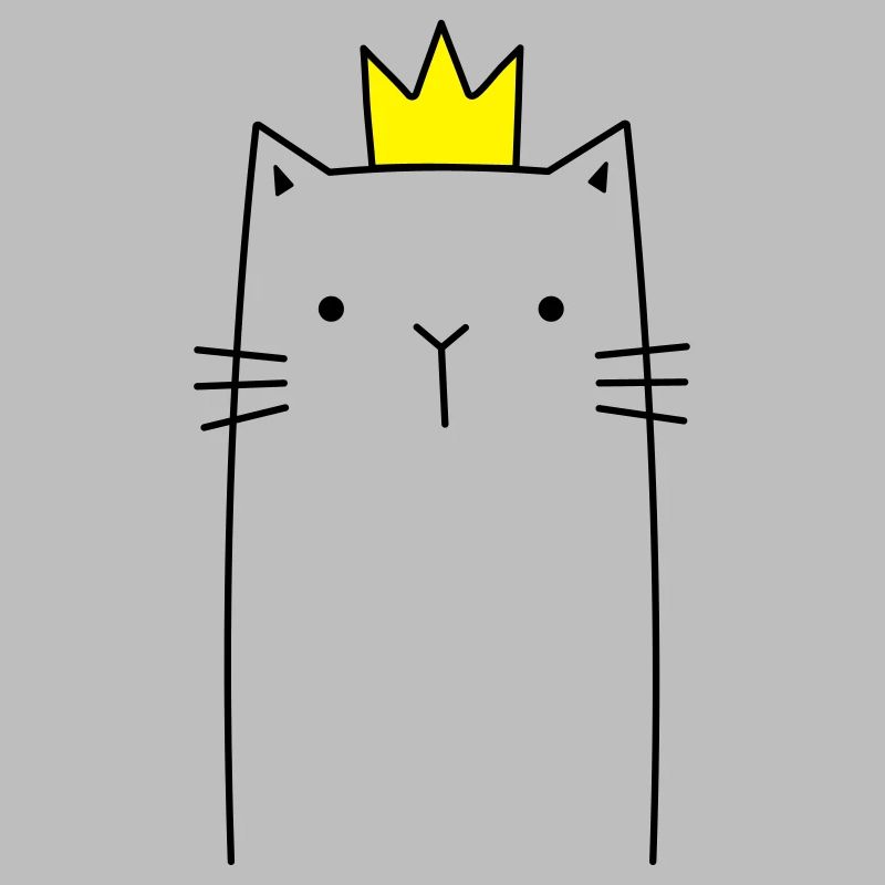 Chat avec cadeau prince princesse