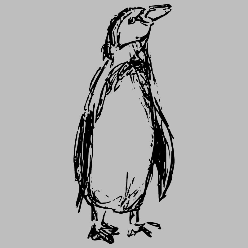 Pinguin
