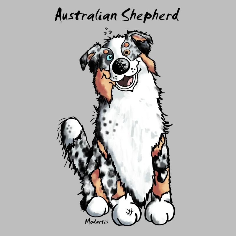 Witziger Australian Shepherd
