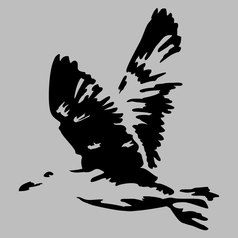 seagull