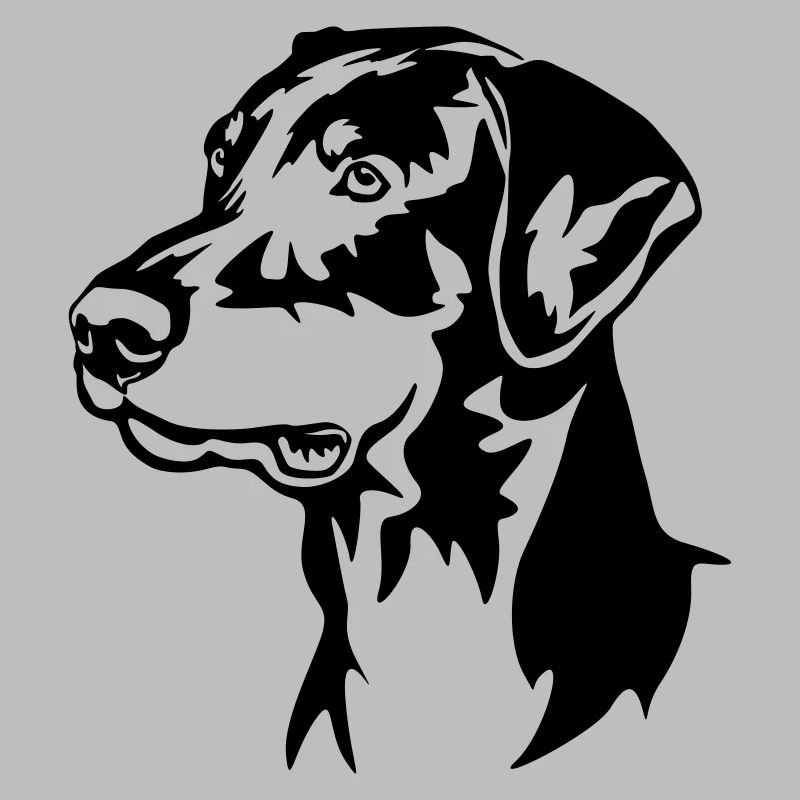 Tête de Doberman