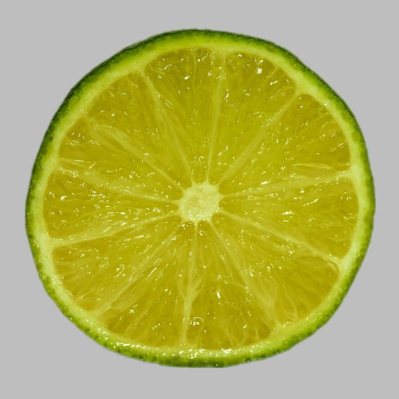 Lime Slice