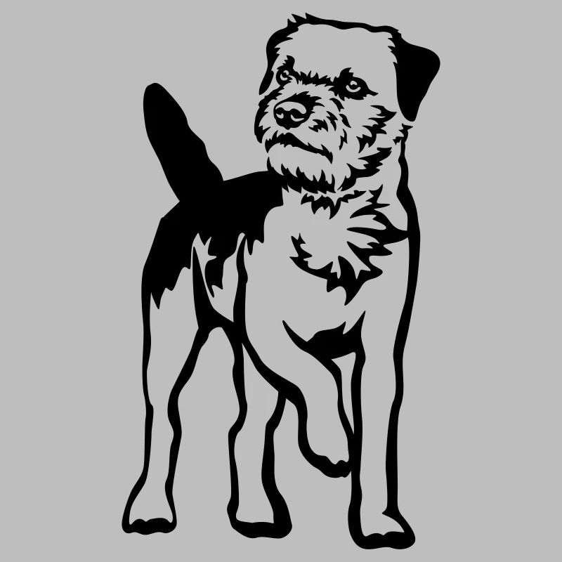 Border Terrier