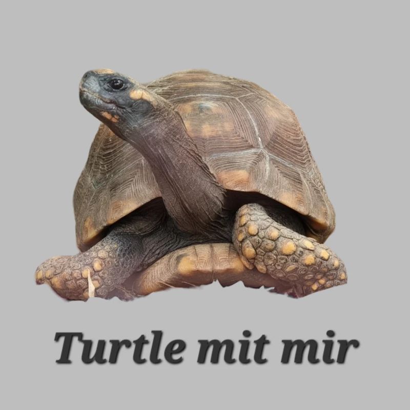 Turtle mit mir