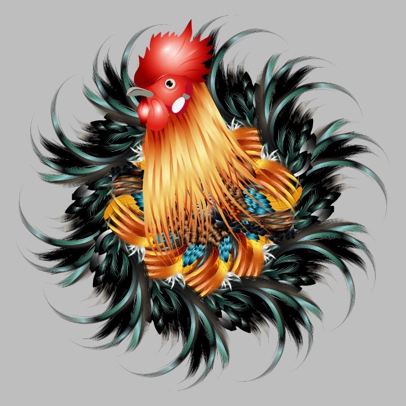 magnificent rooster in feather frame