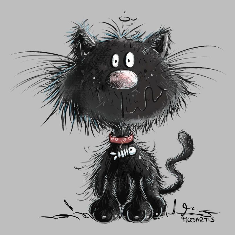 Droll Black Cat
