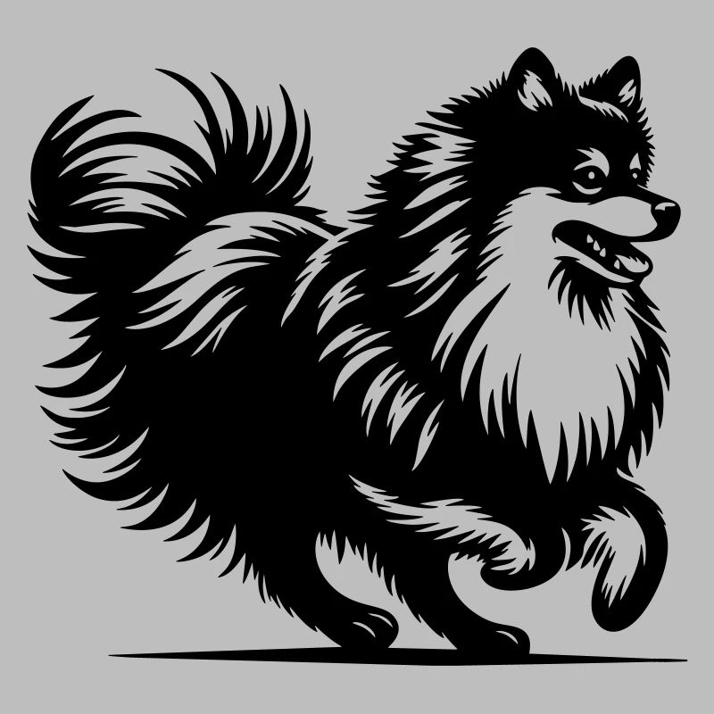 Spitz