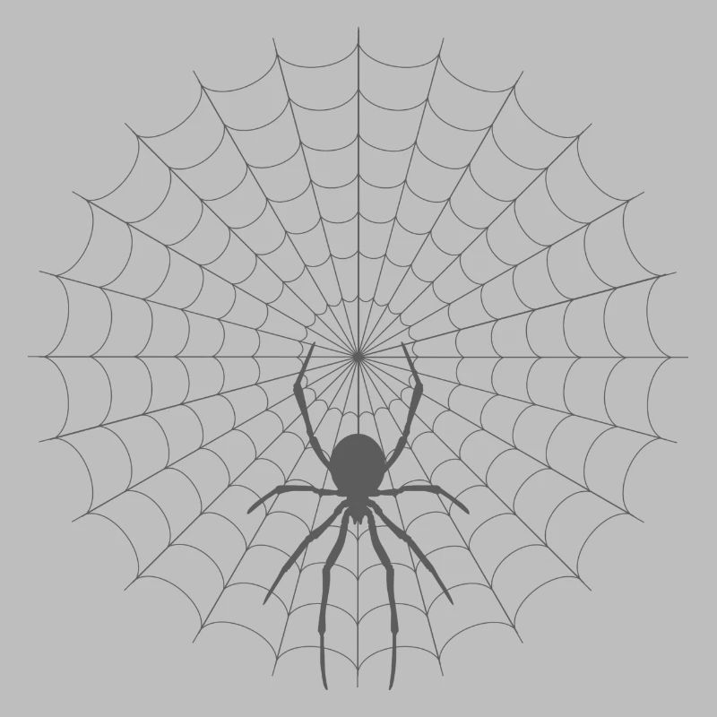 Spider Web Silhouette