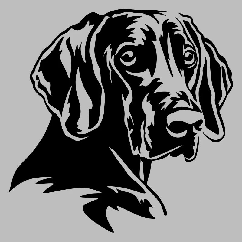 Weimaraner Kopf