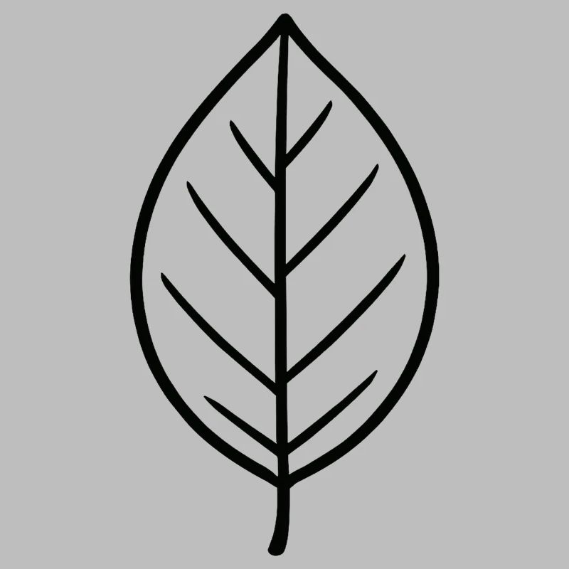 Conception minimaliste Leaf