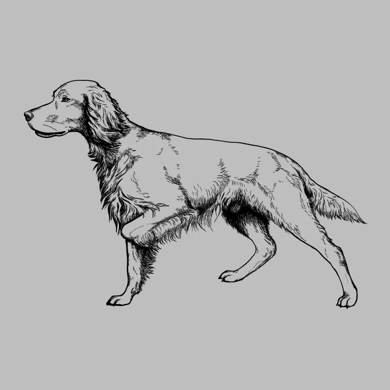 Setter above