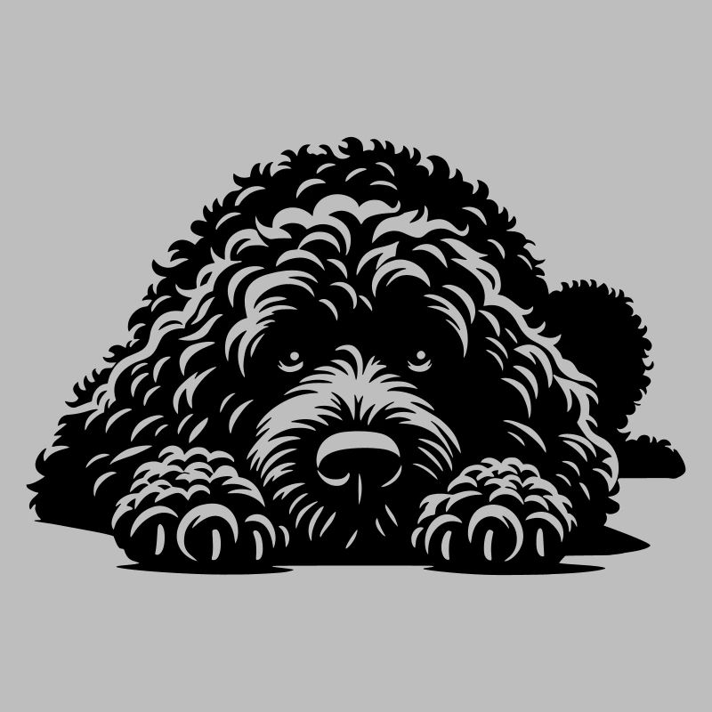 Spanischer Wasserhund