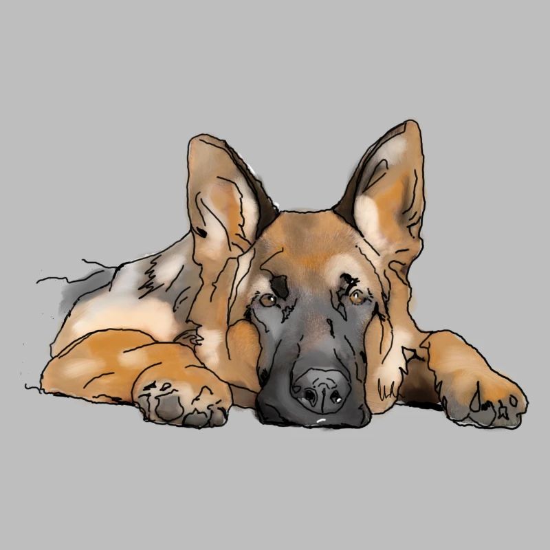 Schäferhund
