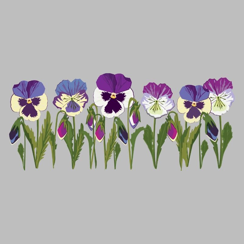 Rangée de fleurs de pensée en violet