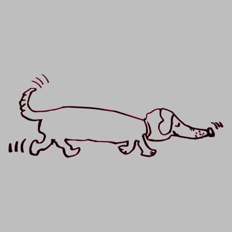 witziger Dackel, Teckel, Hund, Dachshund